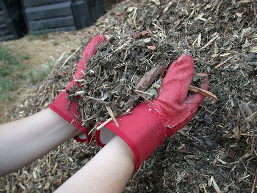 Image of mulch