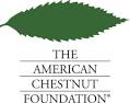 logo of the American Chestnut Foundation